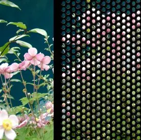 Aluminum Net