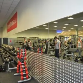 Wall Protection In Gym