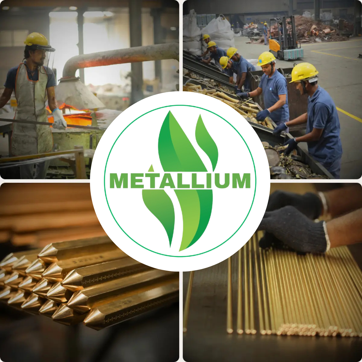 Introduction to our company and its processes